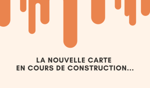 Orange Construction Carte de visite (1)