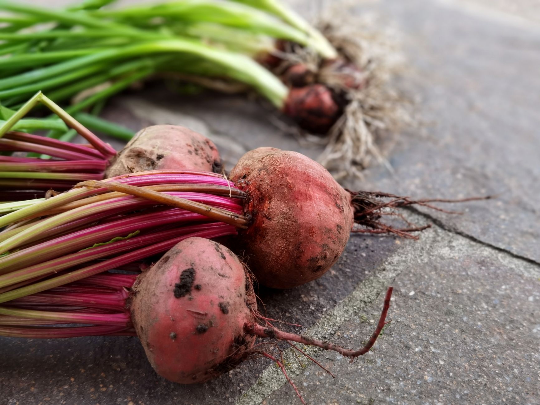 Temps de cuisson des betteraves rouges à la cocotte-minute selon leur taille — betteraves cuites dans une cocotte-minute